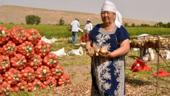 Фотография к новости: Профессионалдар. Шаруашылық басқаратын 70 жастағы ана