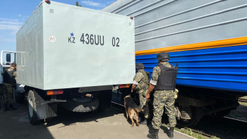 Фотография к новости: Профессионалдар. Жоспарлы теміржол қарауылы