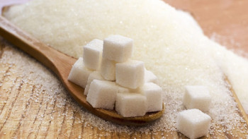 Фотография к новости: Үкіметтің жасанды тірлігі халықты бір қалта қантқа таластырып қойды - депутат