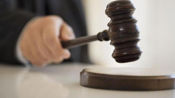 Фотография к новости: Әулиеата аймағында 5 жүзден аса би бар – сот өкілі