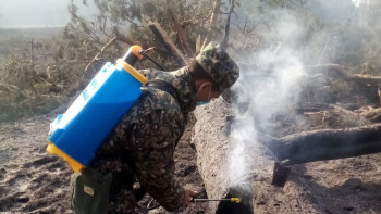Фотография к новости: Қостанайдағы өрттің өршуі тоқтатылды