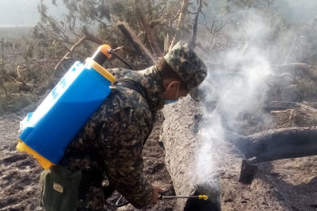 Фотография к новости: Қостанайдағы өрттің өршуі тоқтатылды