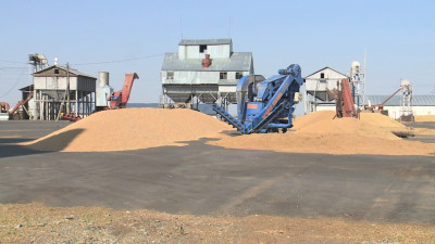 Ертіс өңірінде астық ору кезінде өртке қарсы сақтық шаралары күшейтілді