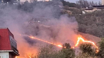 Фотография к новости: «Кеңсайдағы»  өрттен 60 зират бүлінген