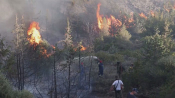 Фотография к новости: Қостанайдағы өрт.  Сенаторлар орманшылардың жалақысын көтеруді ұсынды