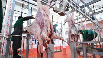 Фотография к новости: «Экспортталатын малға қатысты». Қарашөкеев ет бағасына қатысты түсінік берді