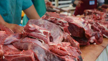 Фотография к новости: Қарашөкеев еттің бағасын көтеруді ұсынды