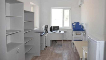 Фотография к новости: Халқының саны 500 адамнан асатын ауылдарда фельдшерлік-акушерлік пункт ашылады - Ажар Ғиният