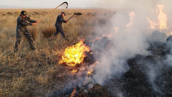 Фотография к новости: Шығыстағы алапат өрттің беті қайтпай тұр