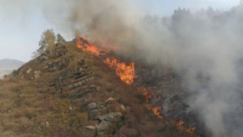 Фотография к новости: ШҚО-дағы өрт. Күршім ауданында жағдай шиеленісіп тұр