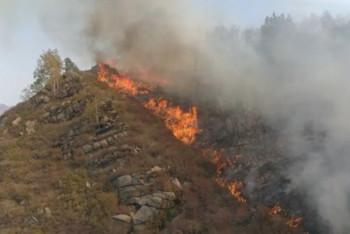 Фотография к новости: ШҚО-дағы өрт. Күршім ауданында жағдай шиеленісіп тұр