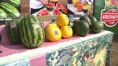 Павлодарлық шаруа қарбыздың 40 сұрыбын өсірген