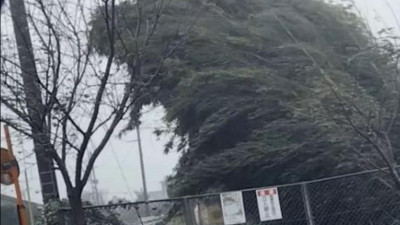 Жапонияда тайфун салдарынан 200 мыңға жуық үй жарықсыз қалды