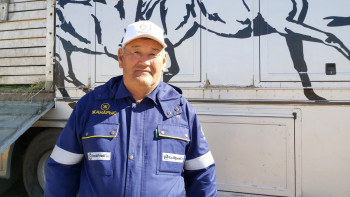 Фотография к новости: Белгілі атбегі Адай жылқысының ерекшеліктері туралы айтты