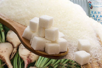 Жаңа заң жобасында қант өндірушілерге қолдау көрсетілмек