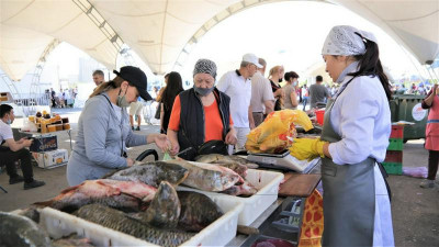 Астанаға батыстан 130 тонна ет пен балық әкелінді