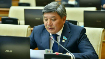 Фотография к новости: Жалған ақпарат – жас баланың қолындағы ұстара секілді - депутат