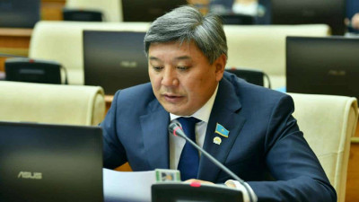 Жалған ақпарат – жас баланың қолындағы ұстара секілді - депутат