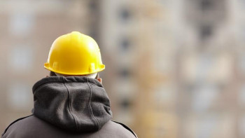 Фотография к новости: Елімізде 15 524 шетел азаматы еңбек етеді