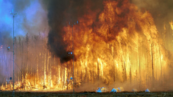 Фотография к новости: Сенатор: Орман өрттері ТЖ мәселелерін ашық көрсетті