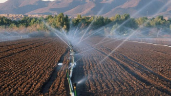 Фотография к новости: Су саласына алаңдаймын - депутат Әбдікеров