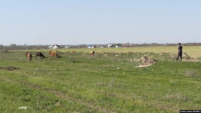 Атырау облысында 165 мың гектар жер мемлекетке қайтарылды