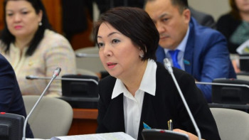 Фотография к новости: 39 млрд теңге текке кетті. Депутат әлеуметтік-кәсіпкерлік корпорацияларды жою керектігін айтты