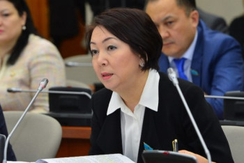 Фотография к новости: 39 млрд теңге текке кетті. Депутат әлеуметтік-кәсіпкерлік корпорацияларды жою керектігін айтты