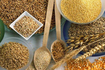 Фотография к новости: Дәнді дақылдар жинау көрсеткіші қандай?