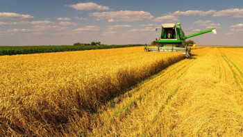 Фотография к новости: Елімізде ең көп астық жинаған қай өңір?