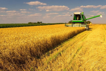 Фотография к новости: Елімізде ең көп астық жинаған қай өңір?