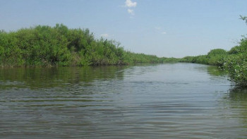 Фотография к новости: Жайық өзенін қорғау жұмыстары 2024 жылға дейін аяқталады – министрлік