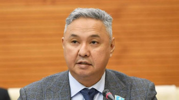 Фотография к новости: «Ақ жол» неге Тоқаевты қолдады?