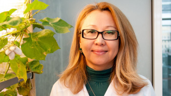 Фотография к новости: ГМО өнімдерінің зияны ғылымда дәлелденбеген – биотехнолог