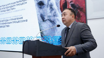 Фотография к новости: Павлодар облысында жылқы саны өсіп келеді