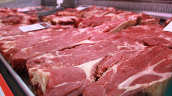 Фотография к новости: Ғалым: "Майсыз ет – умен тең"