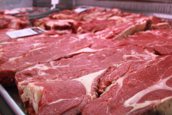 Фотография к новости: Ғалым: "Майсыз ет – умен тең"