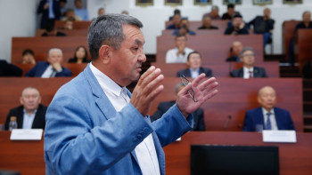 Фотография к новости: Қазақ даласында 20 млн жылқы болған - ғалым