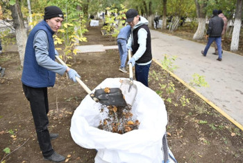 Фотография к новости: Тазалық әр ауладан басталады