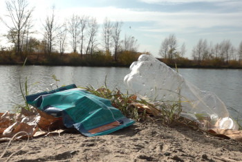 Павлодарлық жастар «Қоқыссыз таза табиғат» акцииясына үн қосты