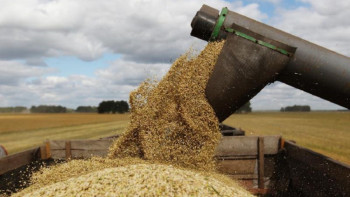 Фотография к новости: АШМ дихандардың қанша өнім жинағанын айтты