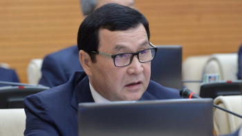 Фотография к новости: Бұл Үкімет айналысатын мәселе - депутат сапасыз жолдарды сынады