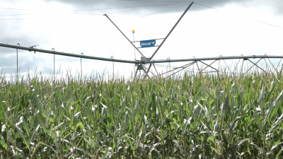 2030 жылға қарай суармалы алқап көлемі 300 мың гектарға жетеді