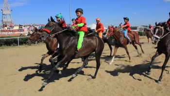 Фотография к новости: Республика күні. Алматы облысының құнандары алдына қара салмады