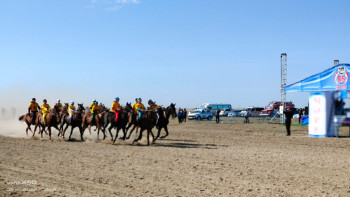 Фотография к новости: Республика күні. Топтан торай шалдырмас 9 жүйрік