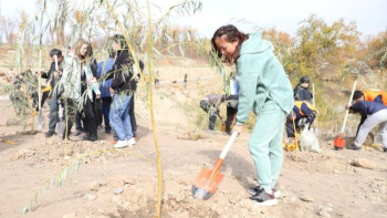 Фотография к новости: Алматыда Республика күніне орай мың түп ағаш егілді