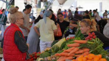 Фотография к новости: Павлодарлық шаруалар Астанаға 520 тонна өнім апарды