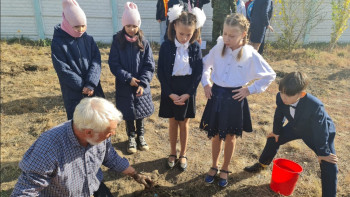 Фотография к новости: Павлодарда «Даңқ аллеясы» патриоттық-экологиялық акция өтті