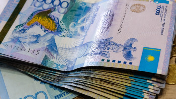 Фотография к новости: Өңірлердегі дағдарыс орталықтарына 1,4 млрд теңге бөлінді - министрлік