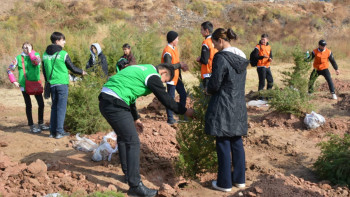 Фотография к новости: Түркістан облысында Green challenge іс-шарасы өтті
